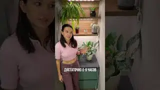 Артикул 480148443.