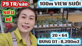 S:388✅ VIEW SUỐI NƯỚC QUANH NĂM. GIÁ SIÊU RẺ💥 79 triệu/s💥 20 ×64 BUNG DT :8,2sào. 