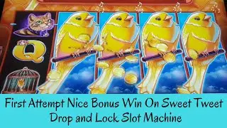 FIRST ATTEMPT NICE BONUS WIN ON SWEET TWEET DROP and LOCK SLOT MACHINE - SunFlower Slots
