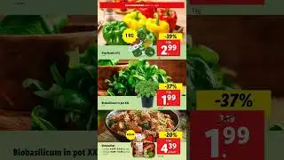 Lidl folder week 32 06/08 - 12/08
