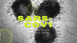 SARS-COV-1: An Information Drive