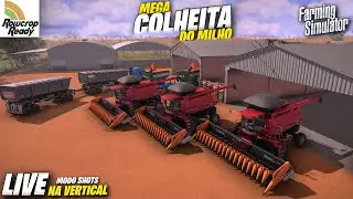 COLHEITA DO MILHO SAFRINHA | ROW CROP | Farming Simulator 22  Vida Real