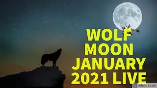 Wolf Moon January 2021 Live 🔴 | Full Moon 2021 Live 🔴