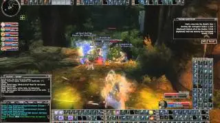 DDO Thazara (1st life Shiradi Cleric) in ee Torn and Paw