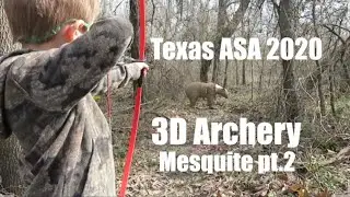 3D Archery: Texas ASA 2020 (Mesquite Part 2)