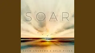 Soar