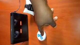 waiter call button system