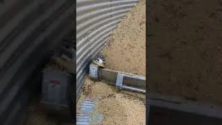 First sweep auger in new Gsi 2406 bin