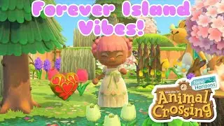 Fairies and Transition area! Life on Celeste //#animalcrossingnewhorizons //
