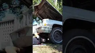 Ну, а какие у тебя планы на День благодарения? Может быть, возрождение Дня индейки? #projectcar #...