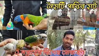 নৈহাটি পেটস্ মার্কেট🙂Exotic bird price in Naihati bird market#birdslovers#pets#youtubechannels