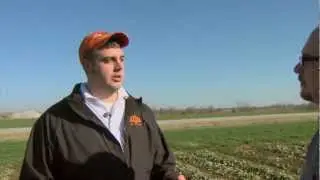 Canola Trials (2/9/13)