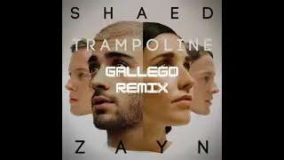 SHAED x ZAYN - Trampoline (GALLEGO Remix)