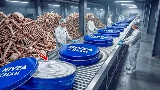 Millions of Animal Bones Waste to Cosmetic Cream | Unbelievable Factory Process