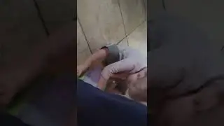 Marcel gets the phone now