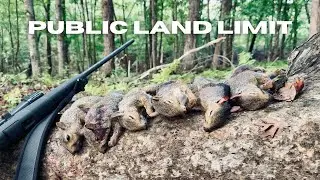 Public Land Limit Of Squirrels & How To Get It