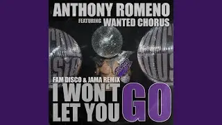 I Wont Let You Go (Fam Disco & Jama Remix)