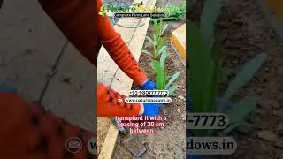 Agriculture Meets Innovation &ndash; Get the Best Farming Solutions