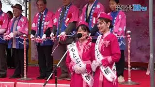【速報】第４８回もとぶ八重岳桜まつり　八重岳桜の森公園・管理棟前特設ステージ