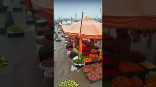 flood affected agriculture business  #youtubeshorts #viral
