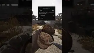 the story behind the unique item in stalker 2