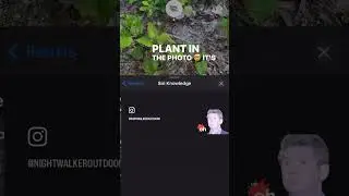 Identify plants on your iPhone for FREE!