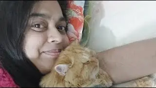 ম্যাগির  লাগবে বউ।
