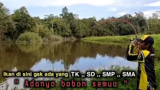 PARADE IKAN BESAR !! IKAN KECIL MINGGIR DULU