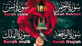 Most beautiful surah yaseen🌹episode333  Rahman yasen tilawat arbic HD✨Beautiful recitation🤲Barik2.0