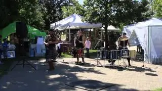 Pictus 2013 Louisville Pagan Pride