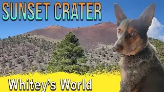 Exploring Sunset Crater | Whitey's World