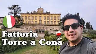 Tuscany, Italy: Agritourism at Torre A Cona Wine Estate