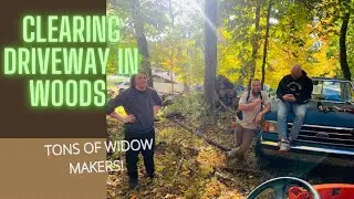 Clearing A Driveway Through The Woods / Homestead EP 16