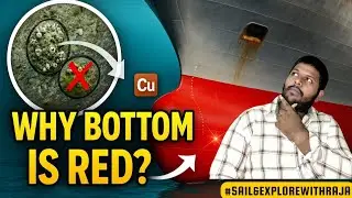 🚢 Почему днища кораблей красные? Секреты противообрастающей защиты раскрыты! 🧪