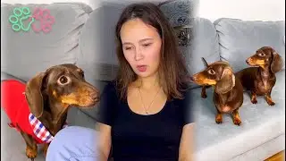 😁😁😁