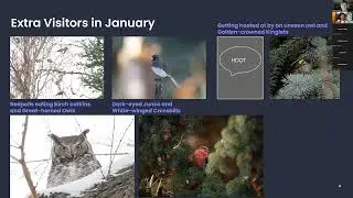 My Urban Wildlife Habitat: A Year in Review 2025