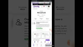 how to make money online with  the business model hawkit