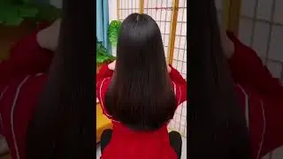 Hair Straightener Brush (Hair Straightener Comb) | Hair Straightener Brush Review | Evobble india
