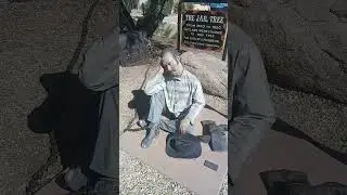 The Jail Tree - Wickenburg, Arizona's solution #shorts