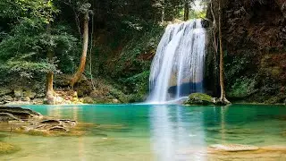 Soul Healing Meditation | Clean Your Auric Field | Enforce Your Boundaries #WombSoundTherapy