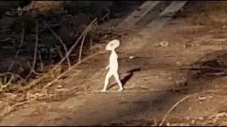 Woman Caught 'Small Humanoid Being' on Camera