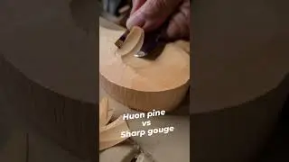 Huon pine vs a sharp gouge, makes for some sweet curls...#huonpine #handcarved #handcrafted