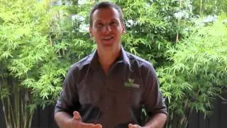 Affordable Brisbane Garden Design