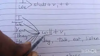 Simple future tense, positive sentence into negative sentence DSC SA 2 English syllabus.