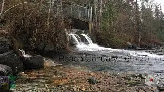 Beach (January 16th 2016) | Donald Louch