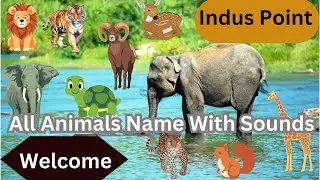 Learn All Animals Name In English and Urdu With Their Natural Sounds #learnanimalsname #animalsname