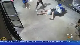 Woman Slammed To The Ground During Fight In Davie
