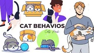 Understanding Cat Behavior: Tips and Tricks for a Happy Feline! | Cats Park
