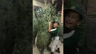 christmas shenanigans