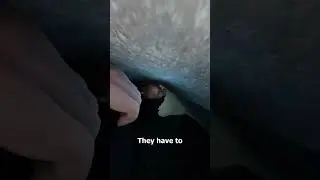 The Tunnel Of Death Commando Training 😨